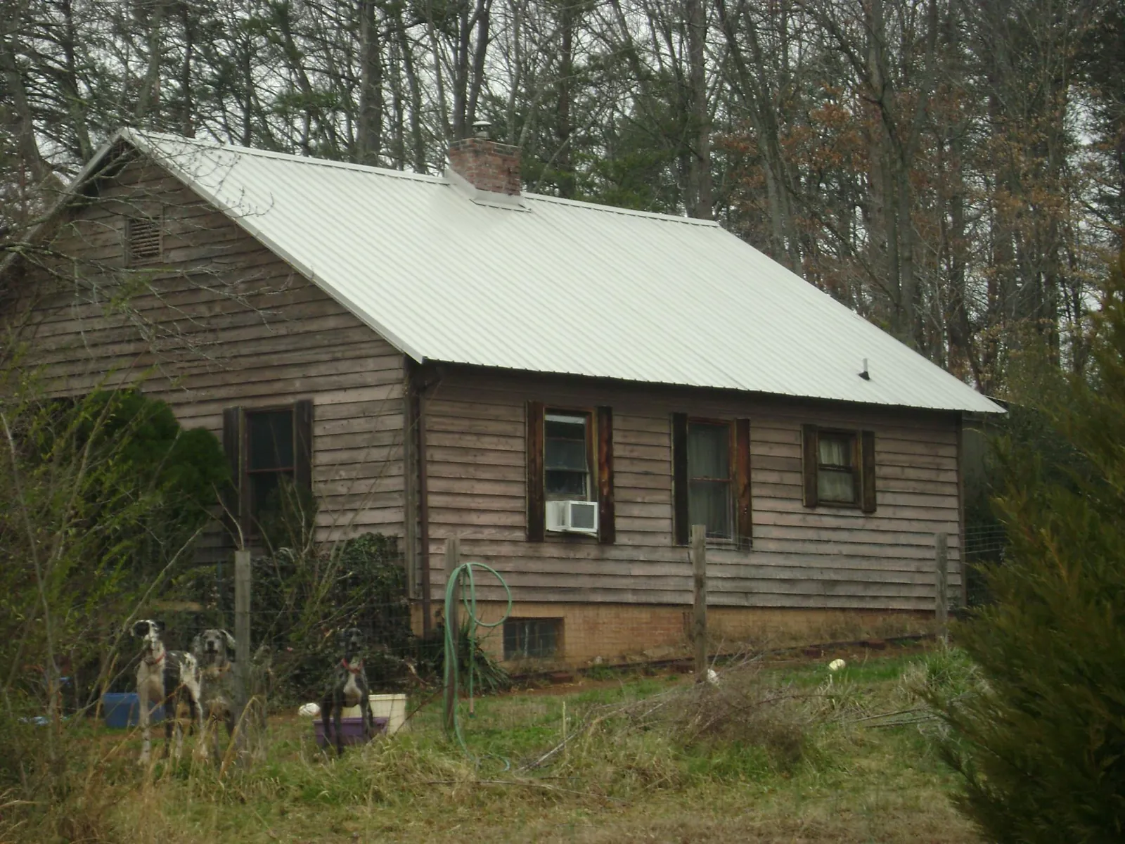 White metal roof on an old wood sided farmhouse, from a Metal Roof Installation job in Clackamas